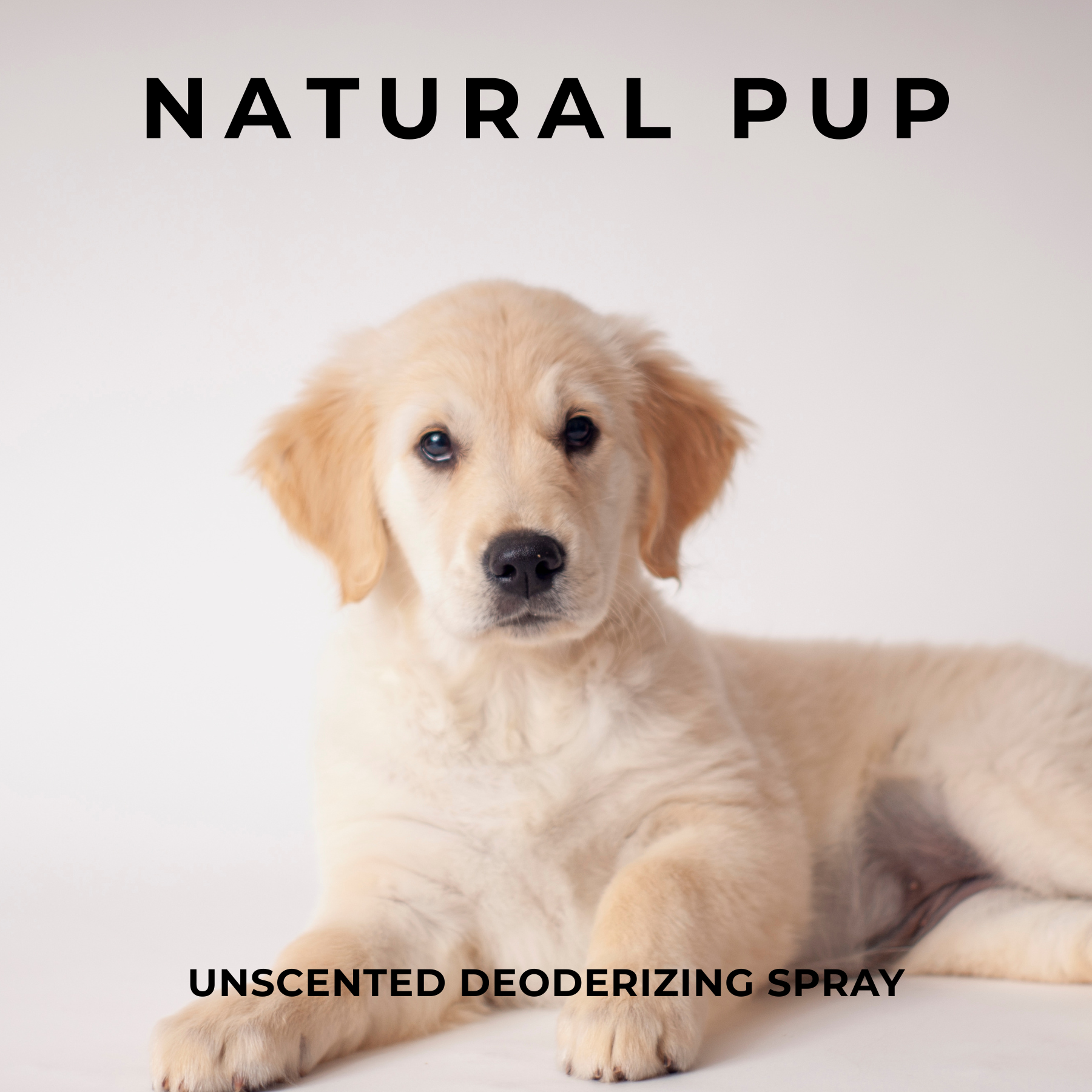 NATURAL PUP