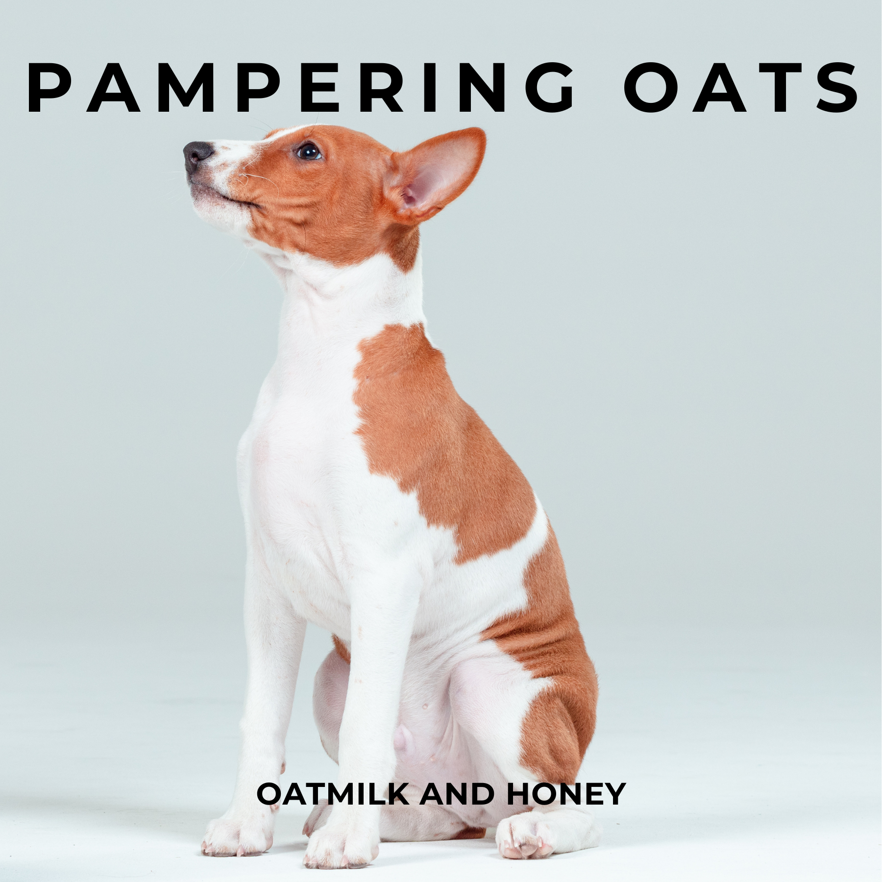 PAMPERING OATS